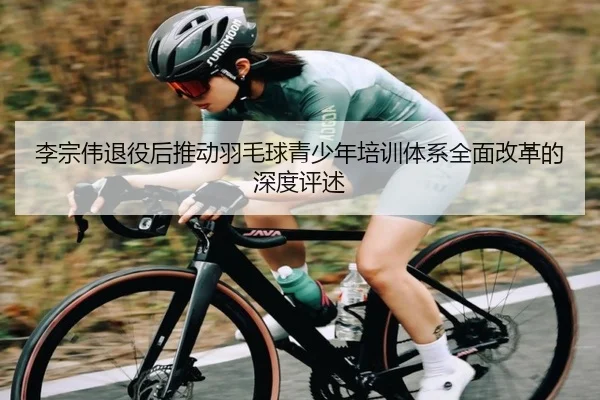 李宗伟退役后推动羽毛球青少年培训体系全面改革的深度评述